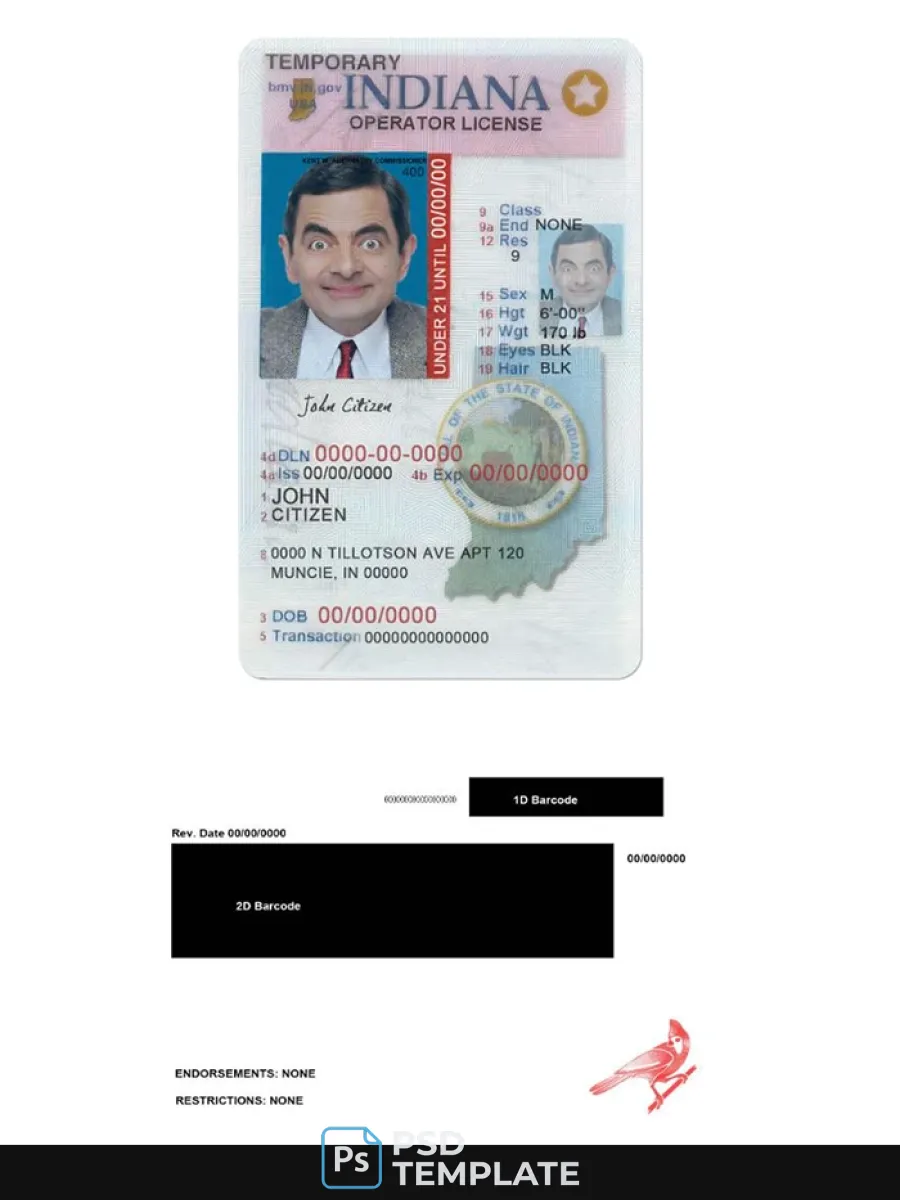 Usa Indiana Driving Operator License Under 21 — Driver License