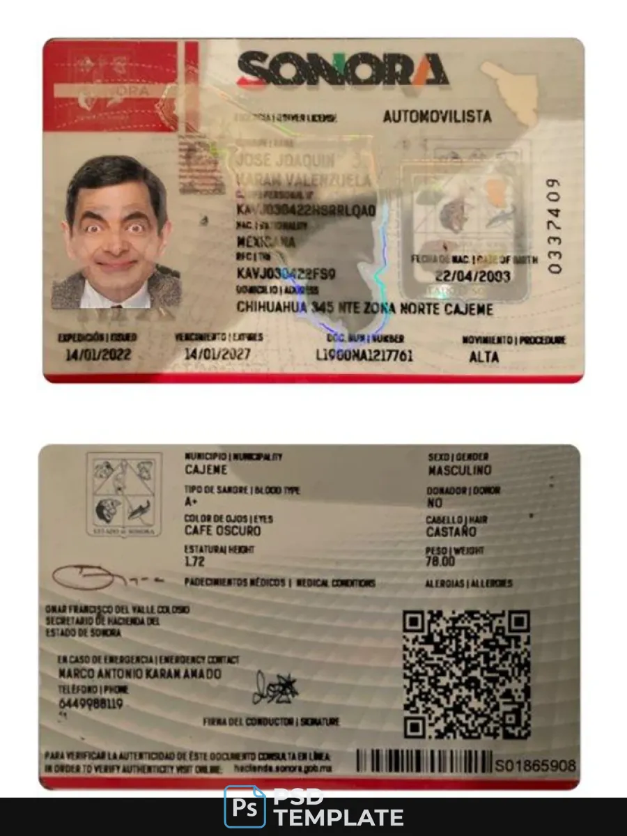 Mexico Sonora State Driving License — Driver License