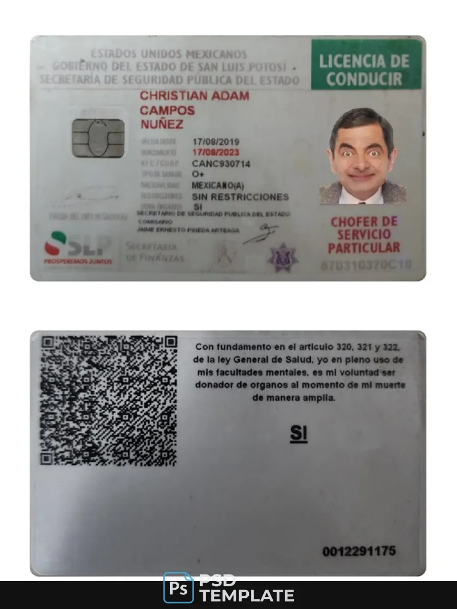 Mexico Driving License 2019 Present — Driver License