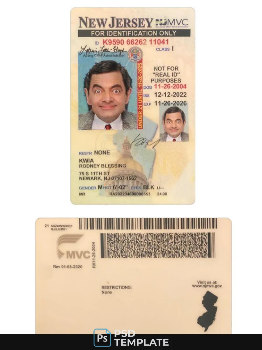 Usa New Jersey Under 21 Id Card — ID Cards