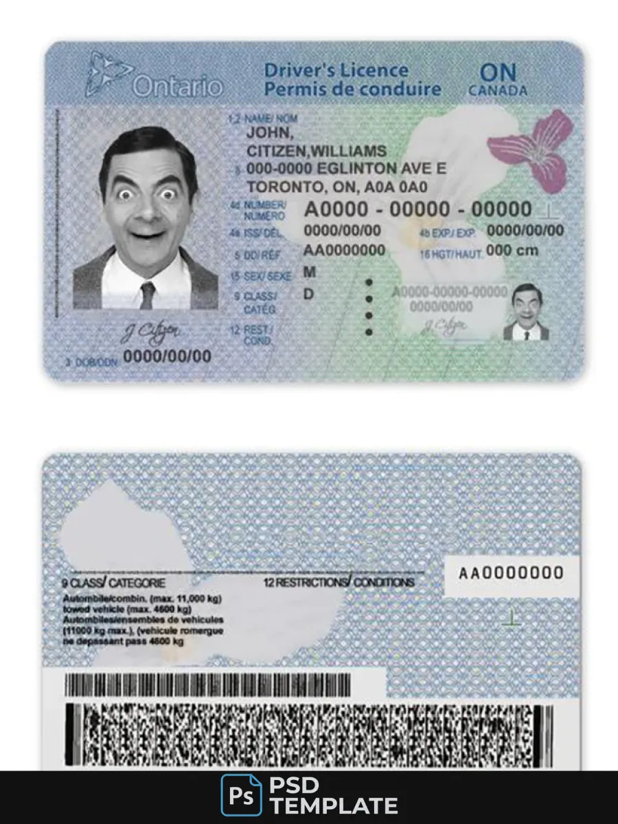 Canada Ontario Driving License Template In Psd Format2018Present — Driver License