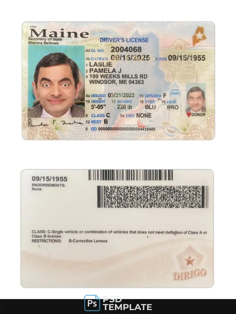 Usa Maine Driving License 2023 Present — Driver License