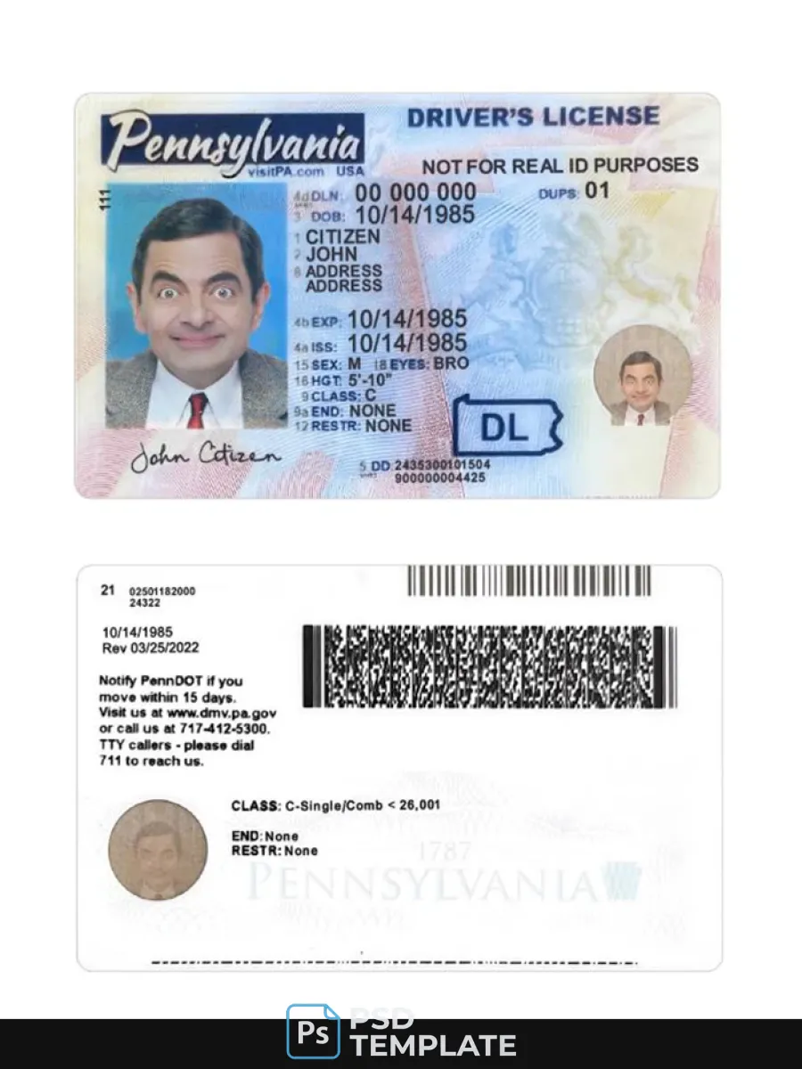 Usa Pennsylvania Driving License 2024 Present — Driver License