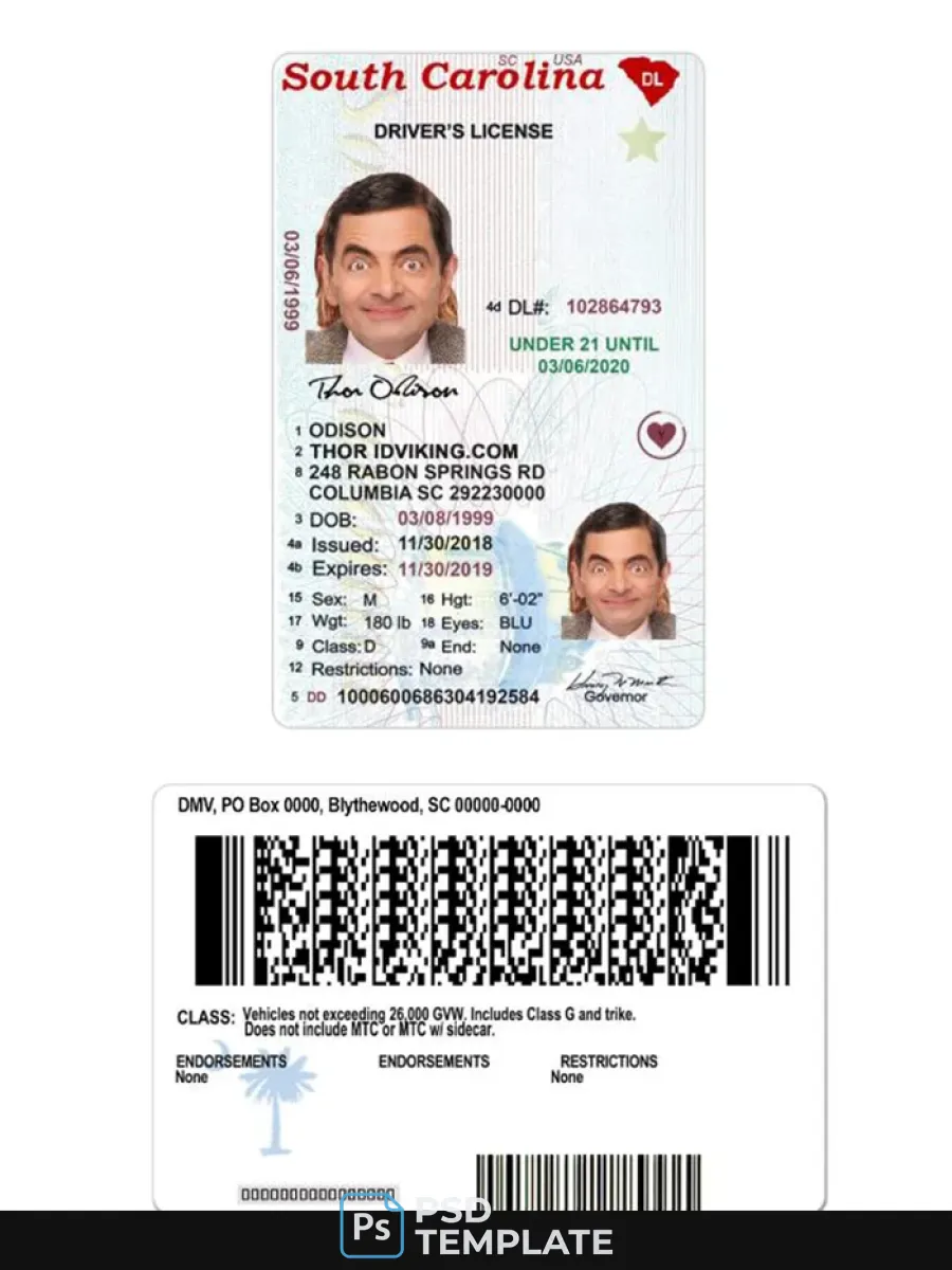 Usa South Carolina Under 21 Driving License — Driver License