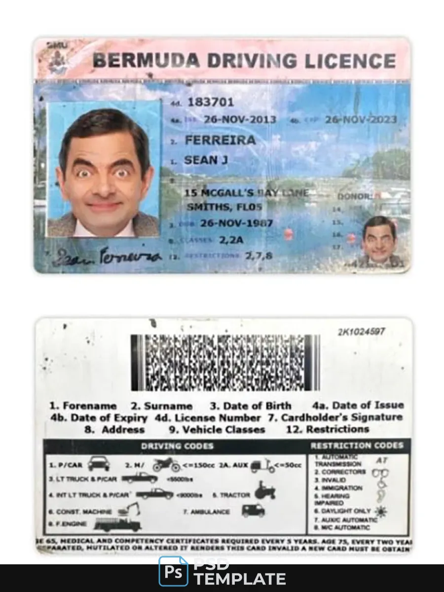 Bermuda Driving License — Driver License