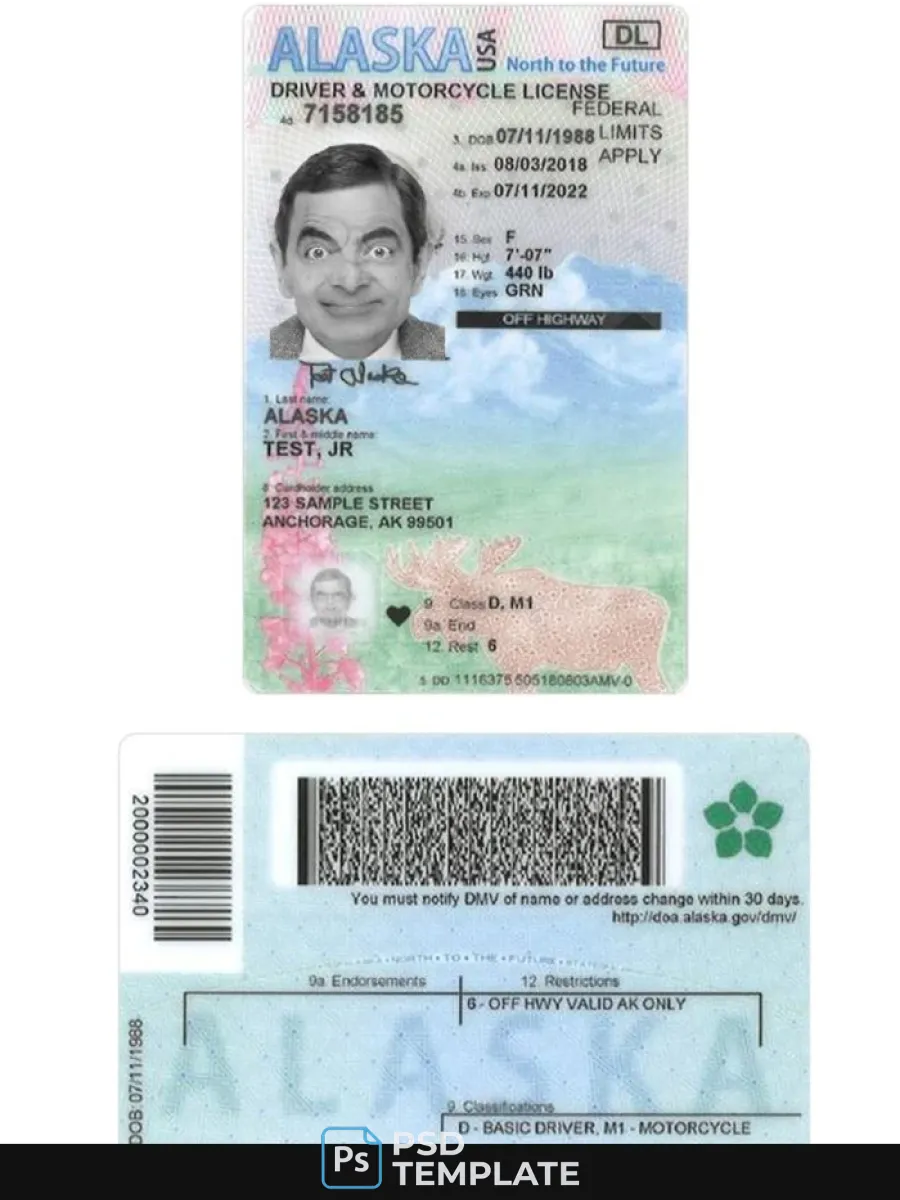 Usa Alaska Under 21 Driving License — Driver License
