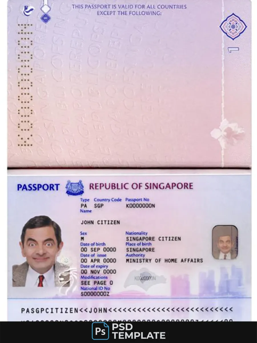 Singapore New Pass 2017 — Passports