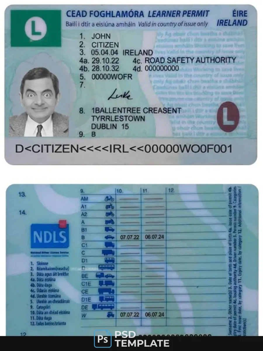 Ireland Driving License Learner Permit 2022 Present — Driver License