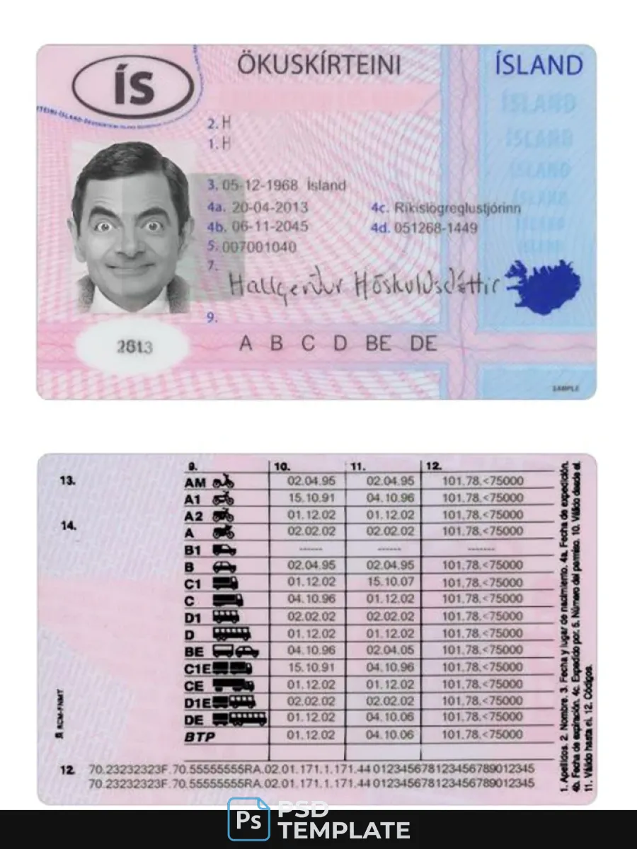 Iceland Driving License 2013 Present — Driver License