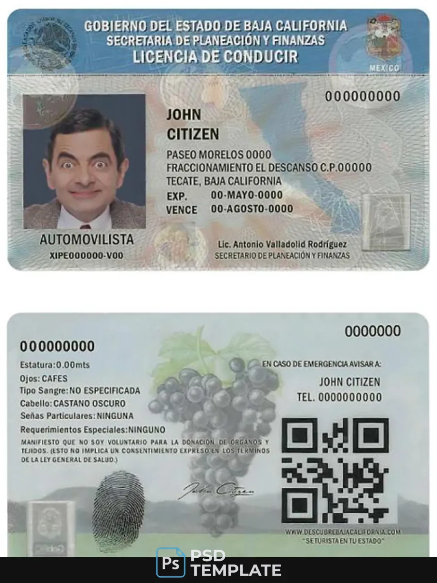 Mexico Baja California Driving License — Driver License