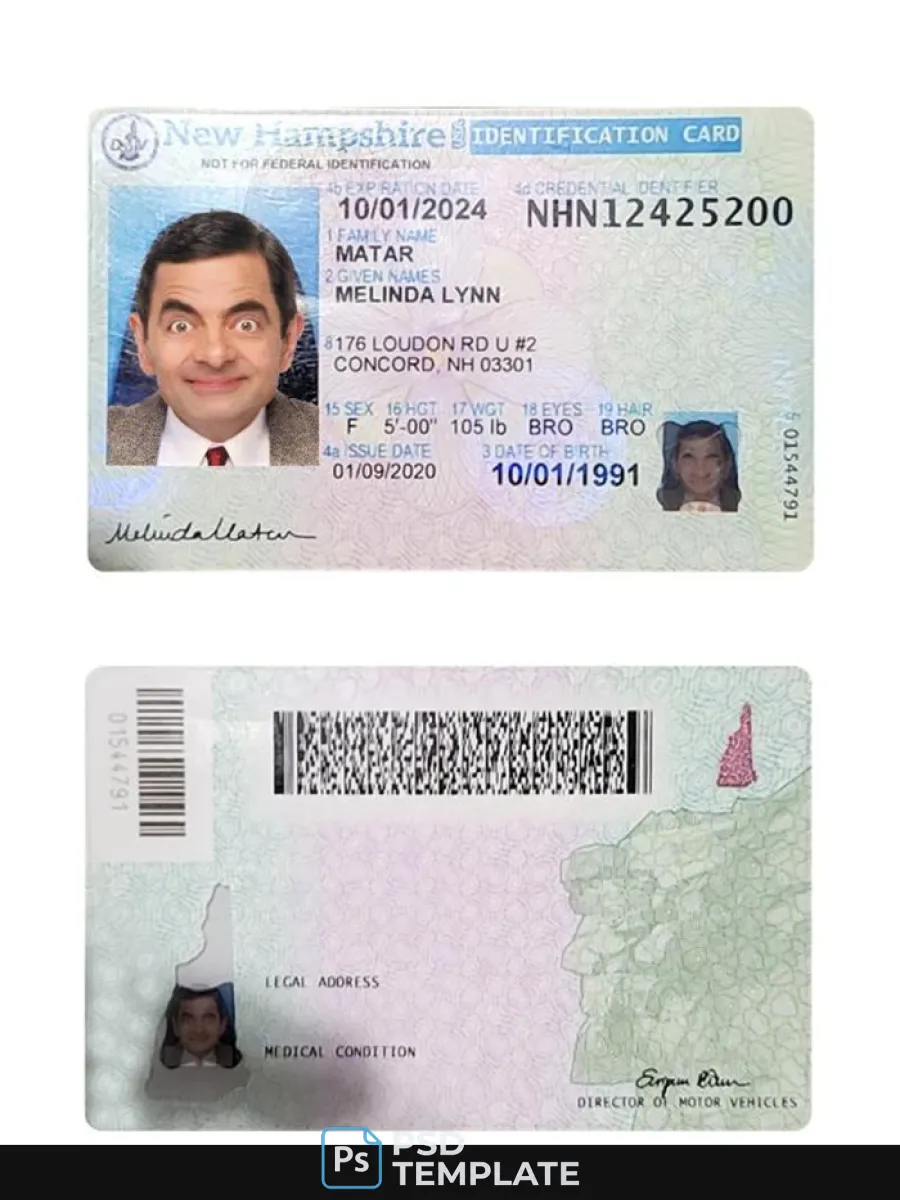 Usa New Hampshire Id Card — ID Cards