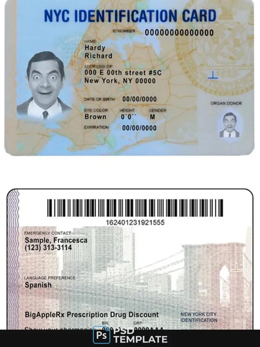 Usa New York Id — ID Cards