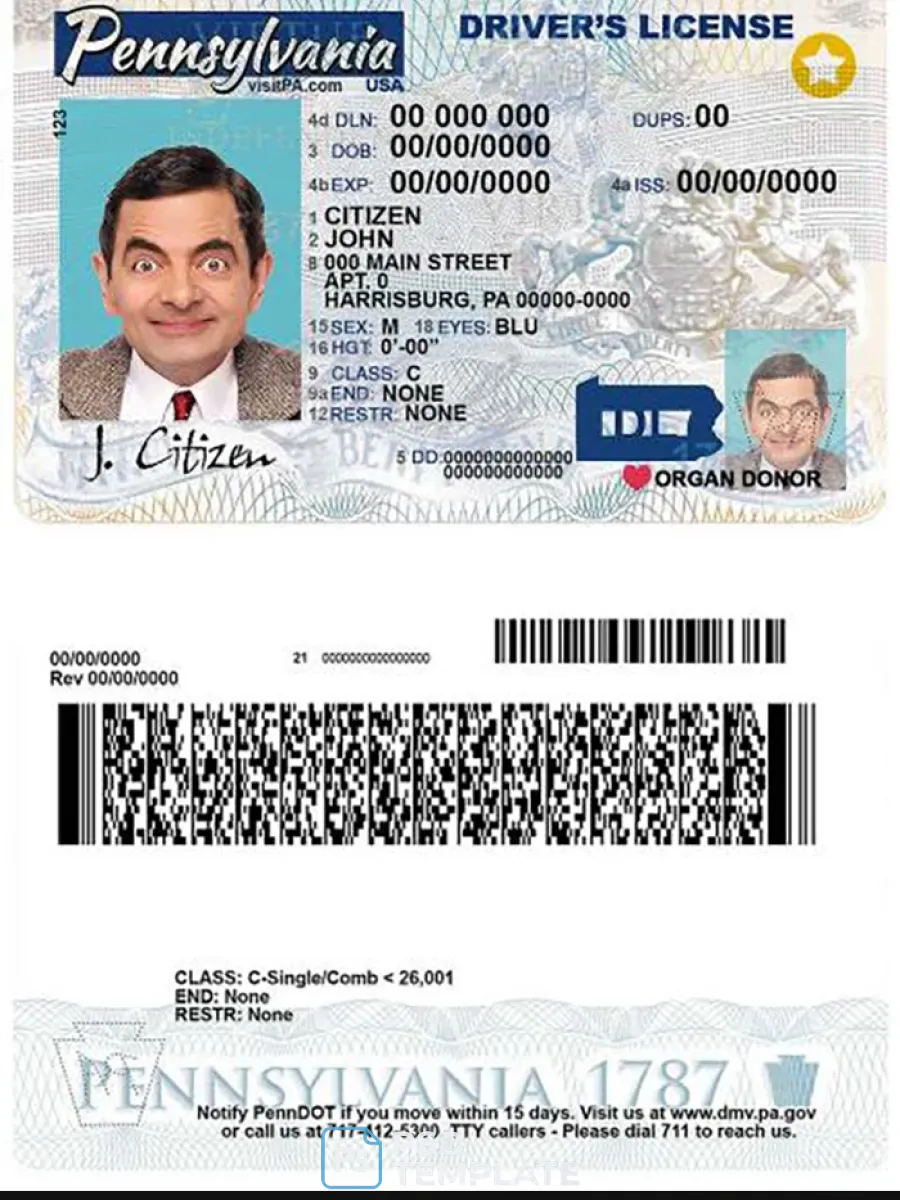 Usa Pennsylvania State Driving License — Driver License