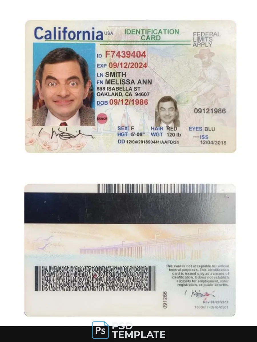 Usa California Id Card — ID Cards