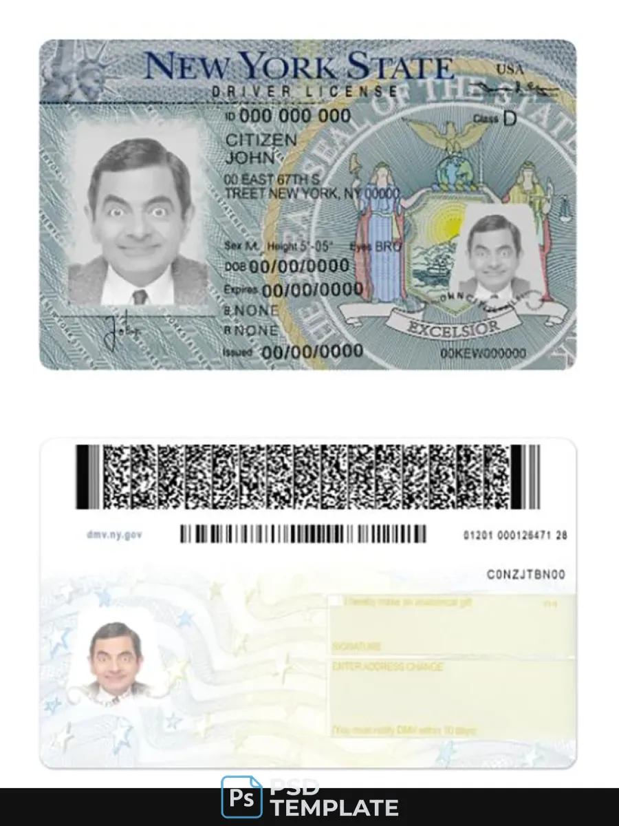 New York Driving License Version 2 — Driver License