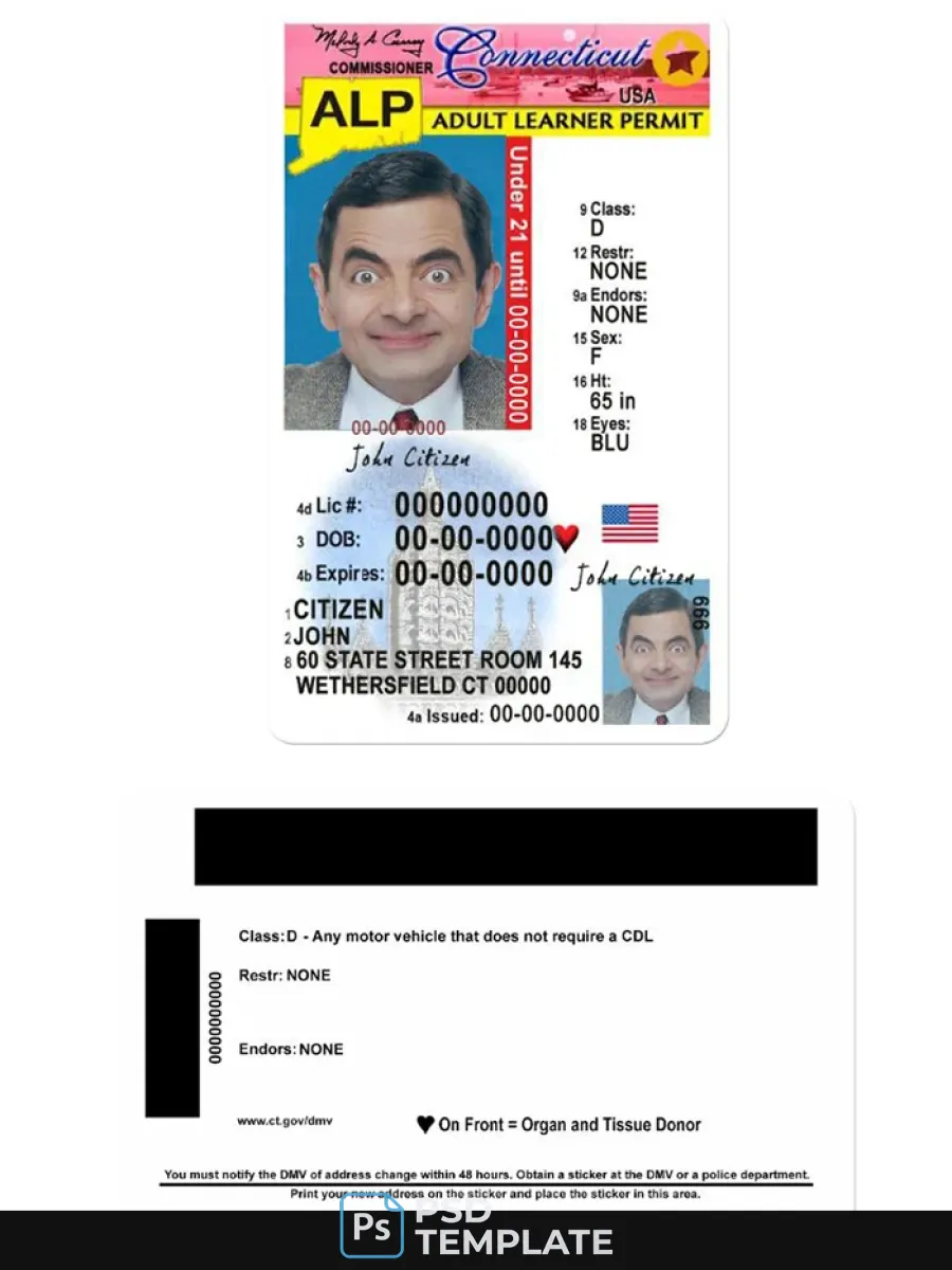 Usa Connecticut Driving License Under 21 — Driver License