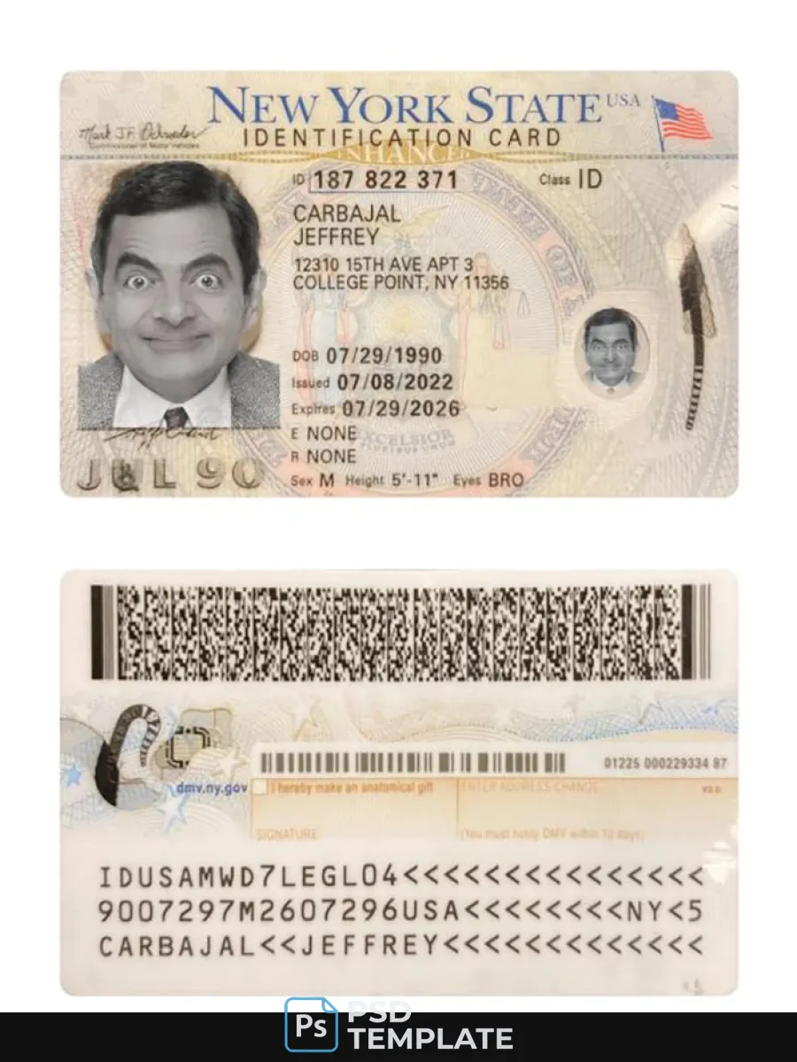 Usa New York Id Card 2022 Present — ID Cards