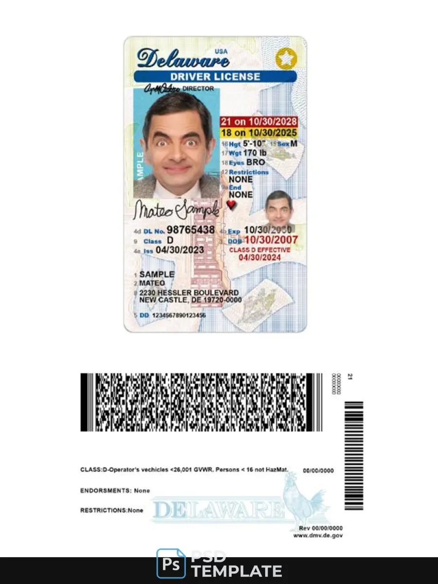 Usa Delaware Under 21 Driving License — Driver License