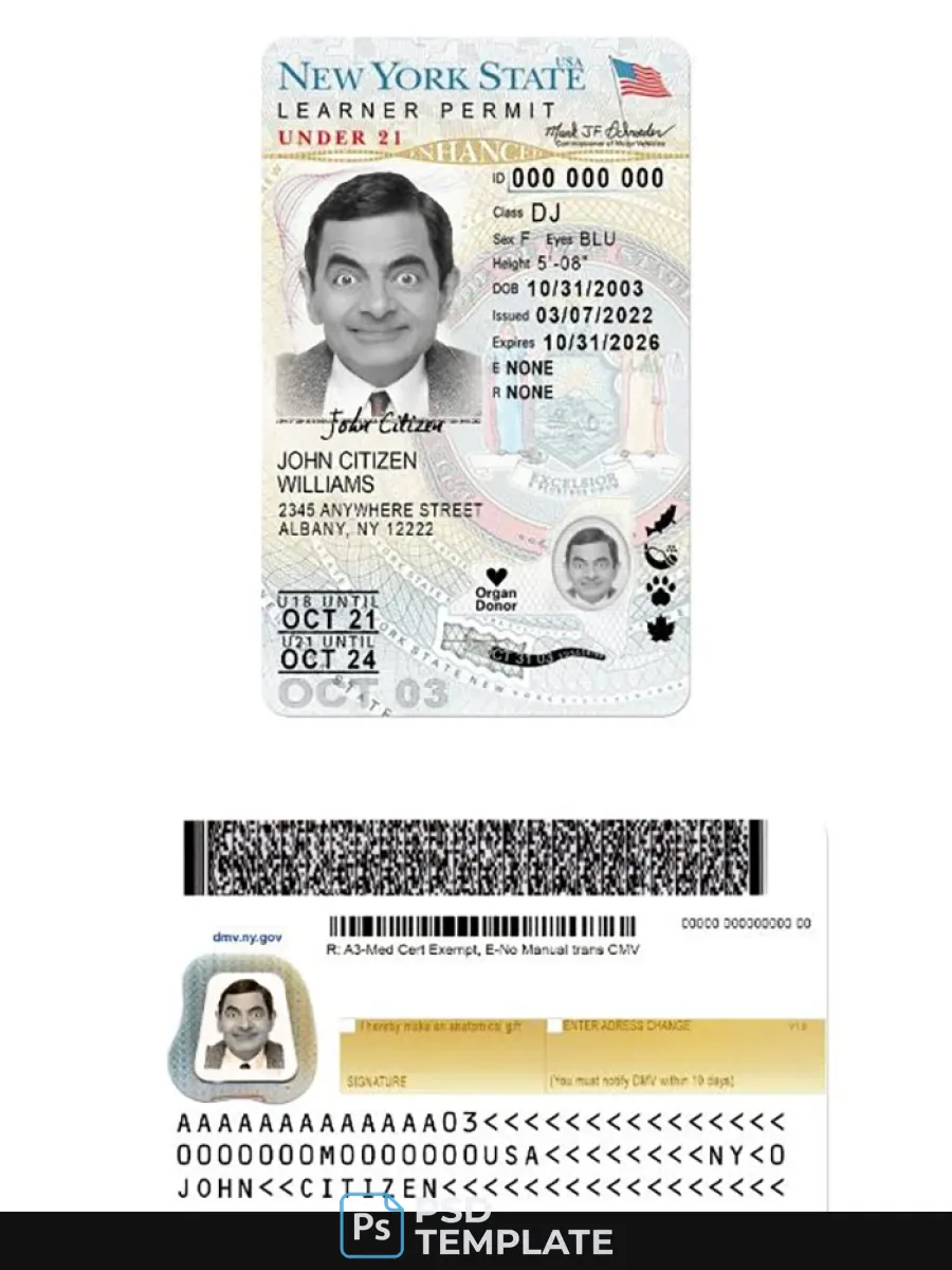 Usa New York Driving License Under 21 Version 2 — Driver License