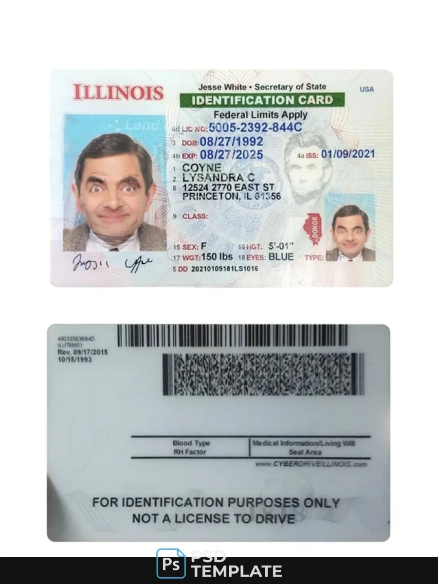 Usa Illinois Id Card — ID Cards