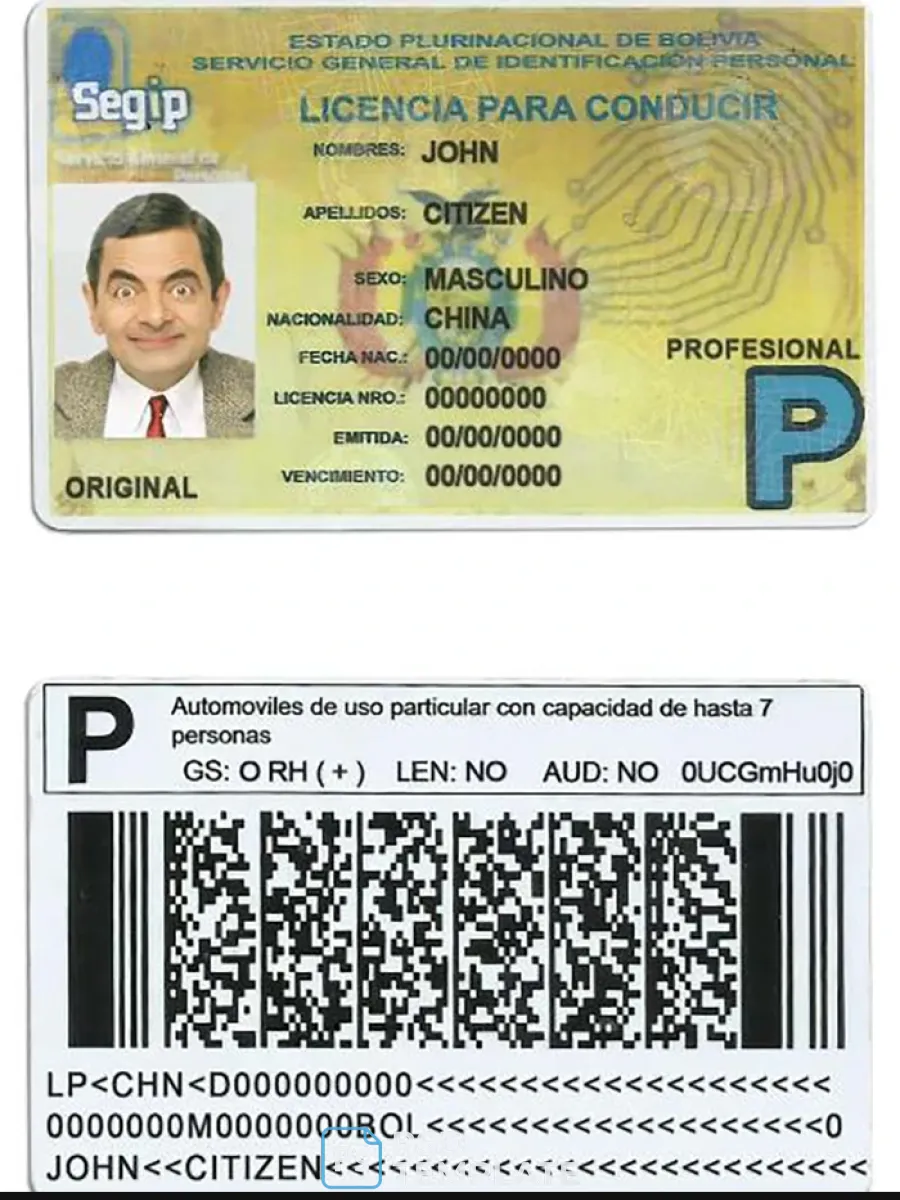 Bolivia Driving License — Driver License