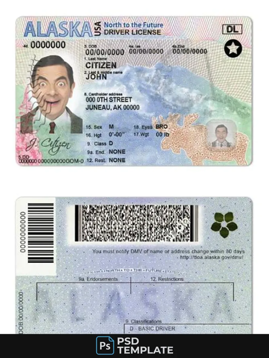 Usa Alaska State Driving License — Driver License
