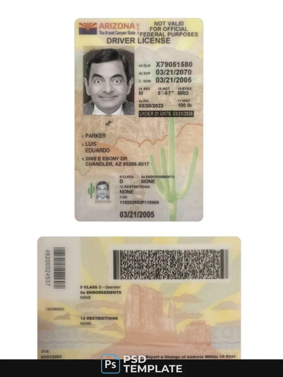 Usa Arizona Under 21 Driving License 2023 Present — Driver License