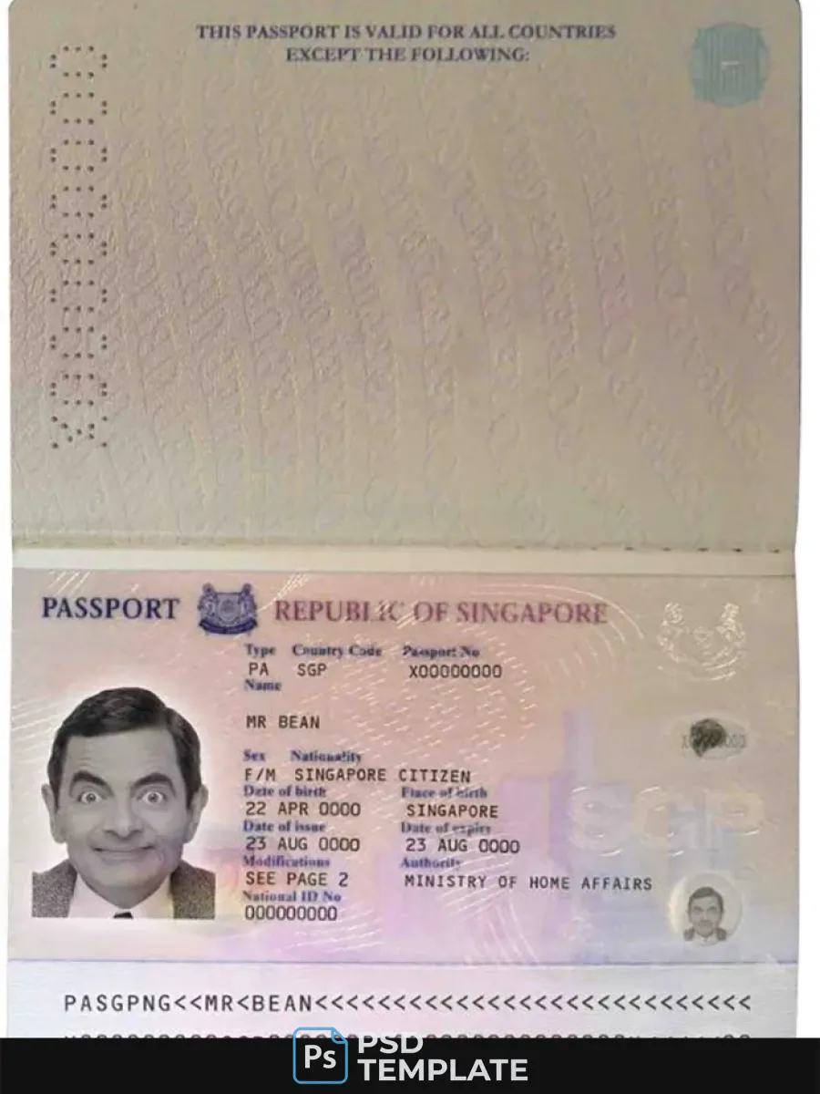 Singapore Pass 2006 2017