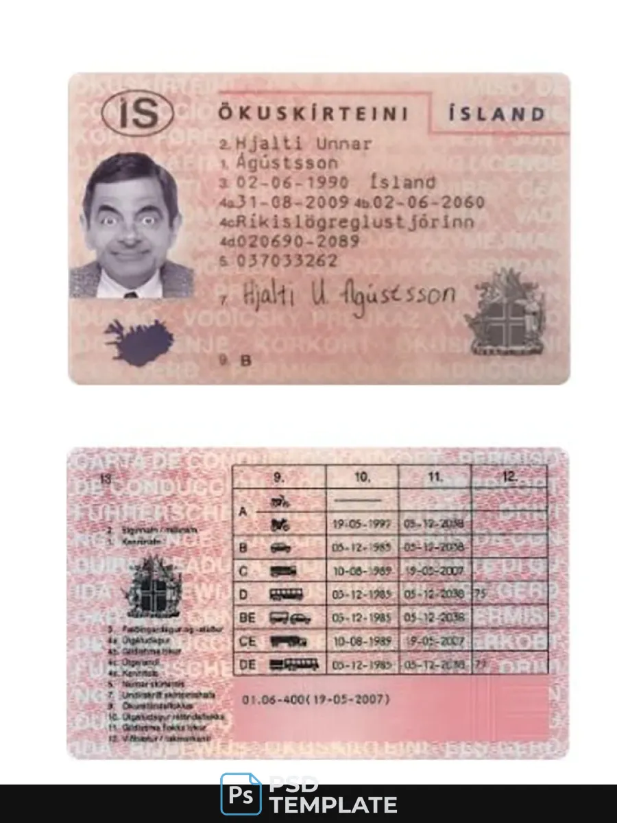 Iceland Driving License — Driver License