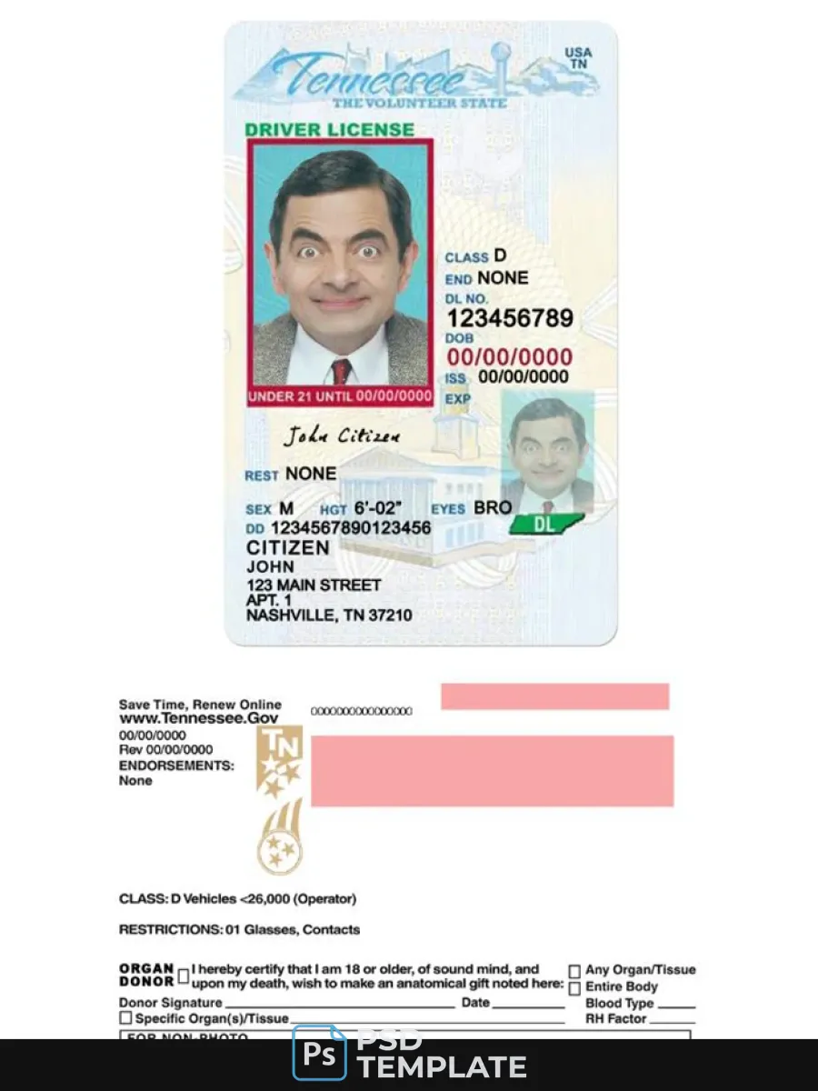 Usa Tennessee Driving License Under 21 — Driver License