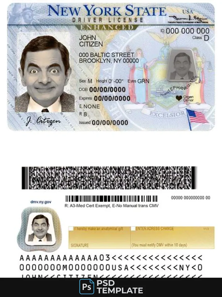 Usa New York Driving License — Driver License