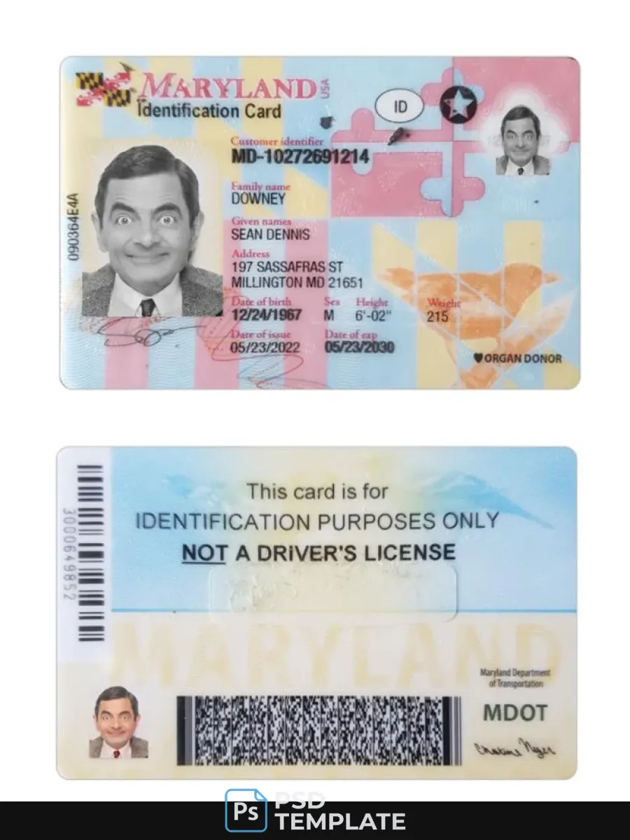 Usa Maryland Id Card — ID Cards