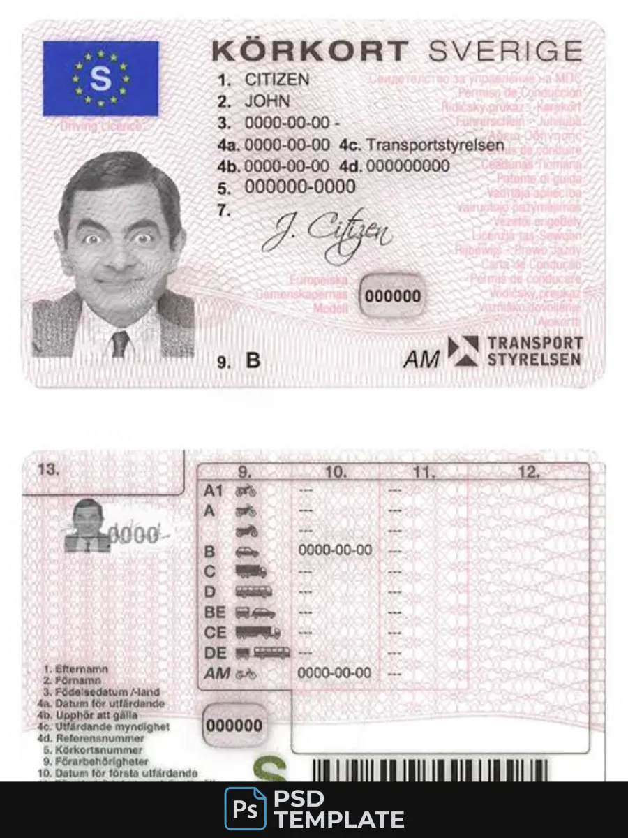 Sweden Dl 2009 2016 — Driver License