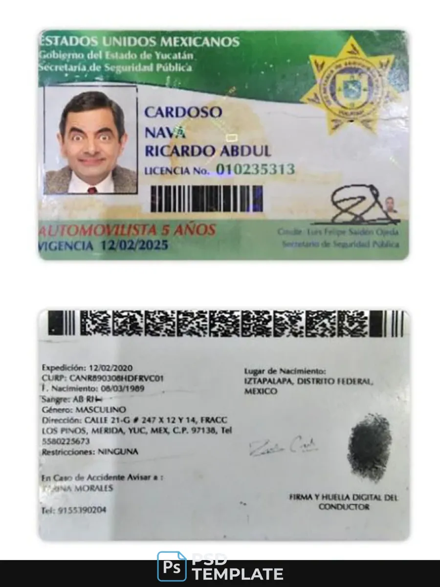 Mexico Yucatan State Driving License — Driver License