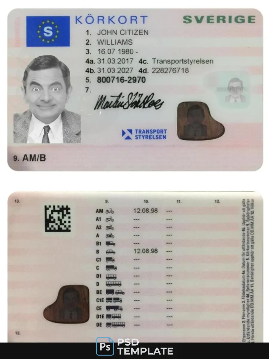 Sweden Driving License 2016 Present — Driver License