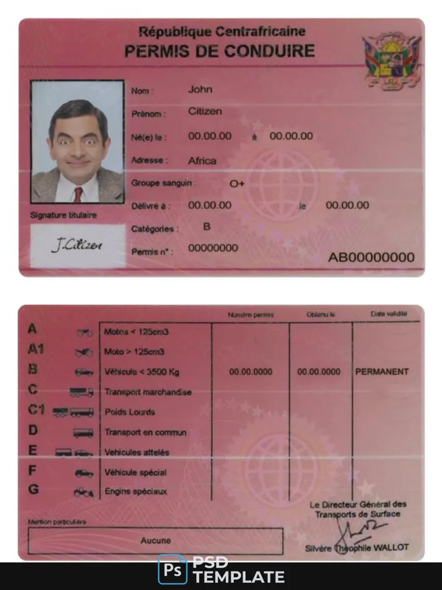 Central African Driving License — Driver License