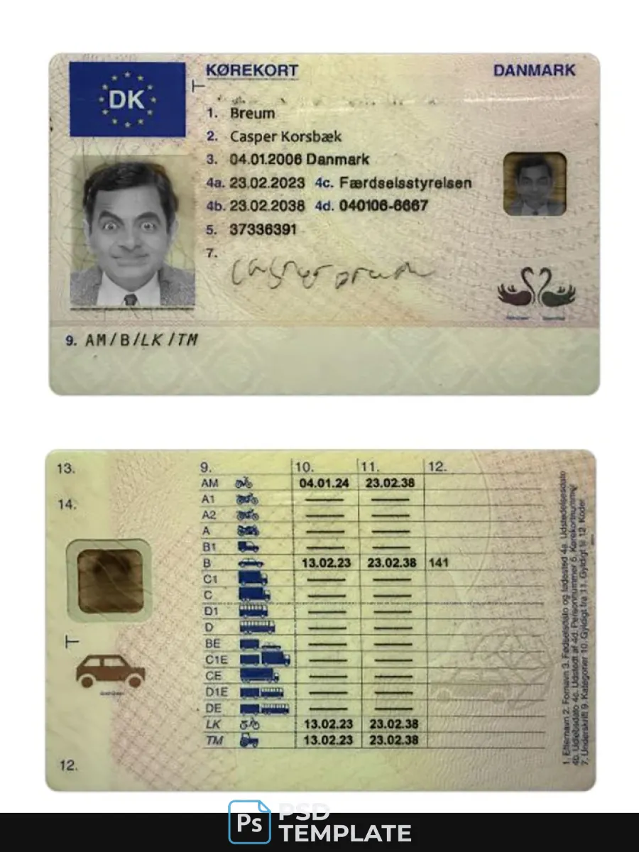 Denmark Driving License 2023 Present — Driver License