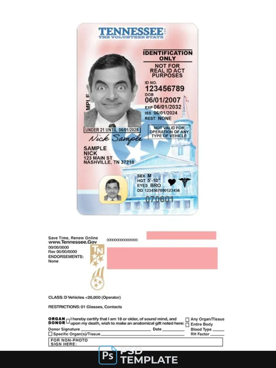 Usa Tennessee Under 21 Driving License 2024 Present — Driver License